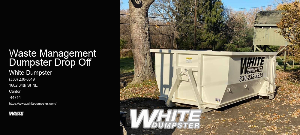 White Dumpster Rental